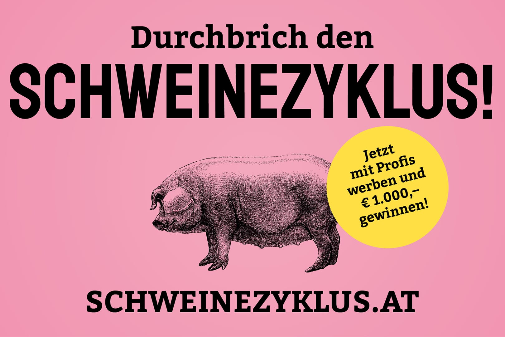 Schweinezyklus