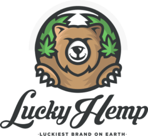 Social Media Agentur Kärnten - Online Marketing für Lucky Hemp